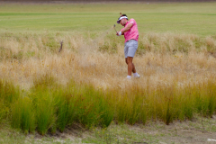 DSF6238