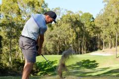 DSF1052-new-course-1