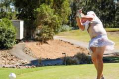 DSF1100-new-course-1