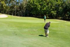 DSF1114-new-course-1