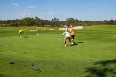 DSF1192-new-course-1