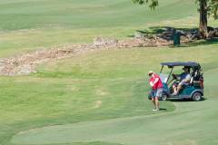 DSF4985-new-course-1